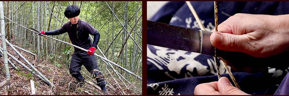 修理のための伐採、竹ヒゴ取り