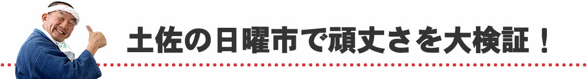 土佐の日曜市で頑丈さを大検証