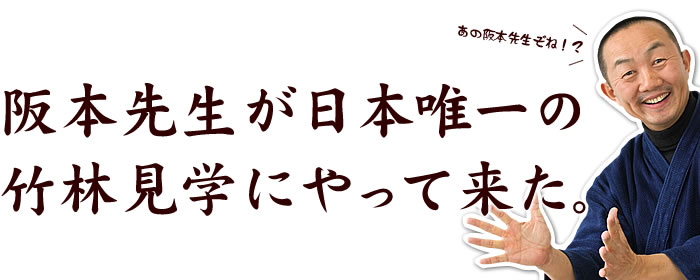 阪本先生が日本唯一の竹林見学にやって来た。