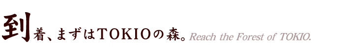 到着、まずはTOKIOの森。