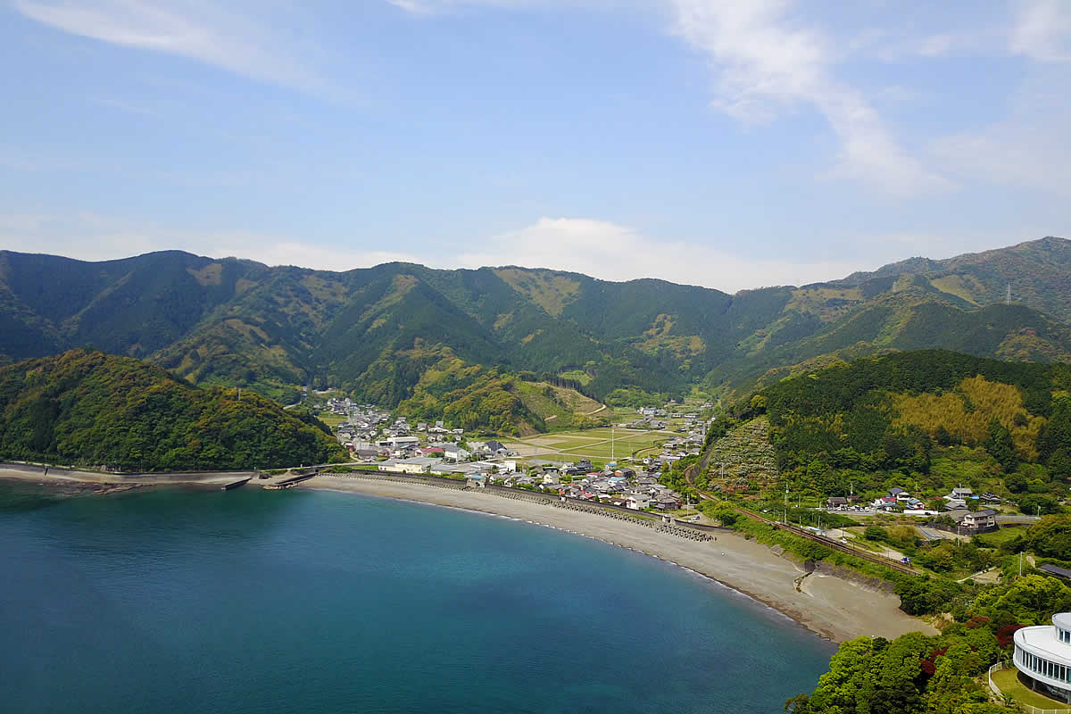 虎竹の山出し、高知県須崎市安和