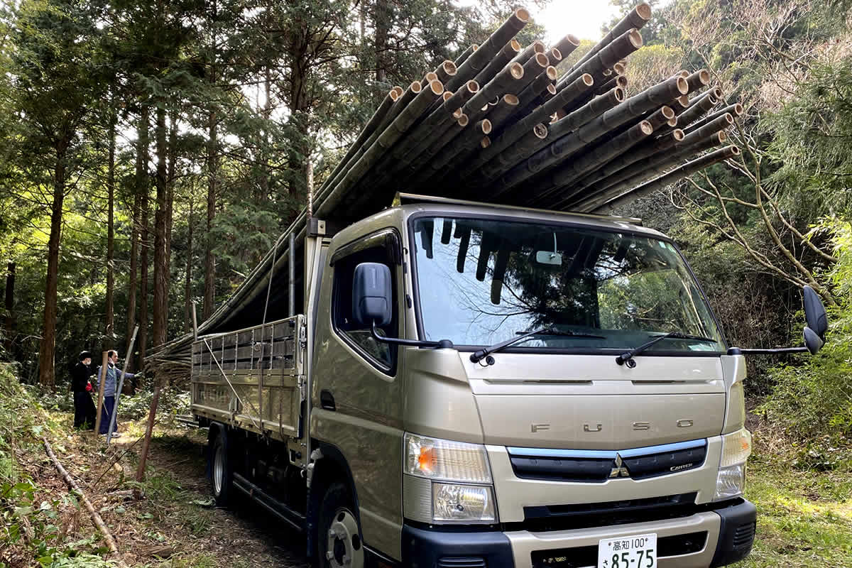 虎竹の山出し、トラック