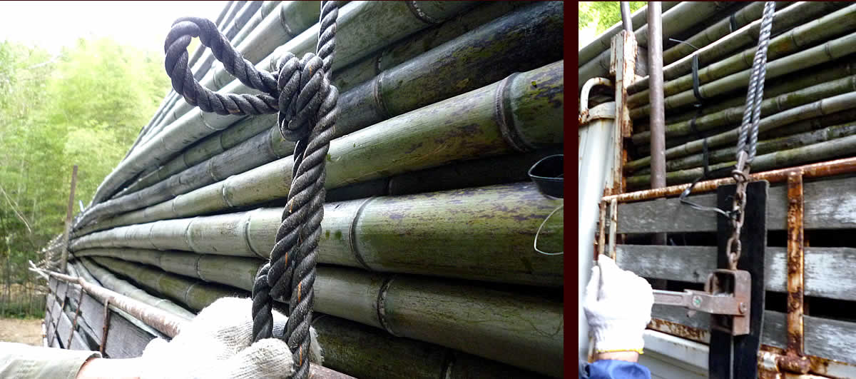 虎竹の山出し、ロープワーク