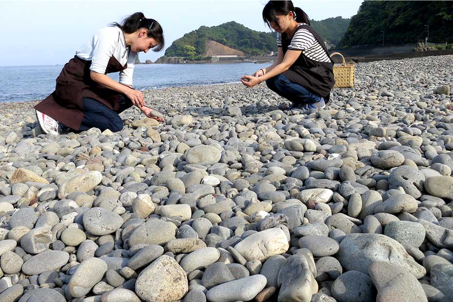 土佐湾の石で作られた虎竹ペーパーウェイト