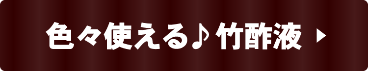 四代目おすすめの使い方