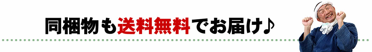 同梱物も送料無料