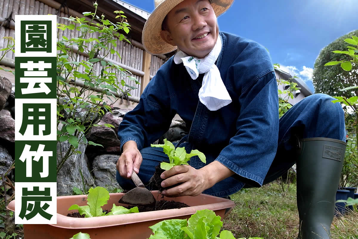 竹炭（園芸用）は、家庭菜園や園芸の際に土の中に混ぜて土壌改善に役立つちます。