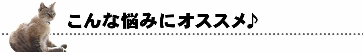 こんな悩みにおすすめ