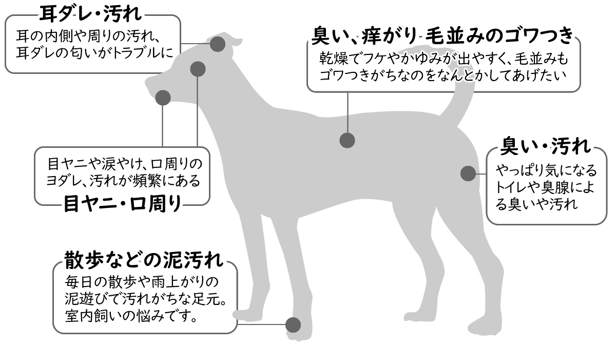 ペットの悩みやトラブル,におい