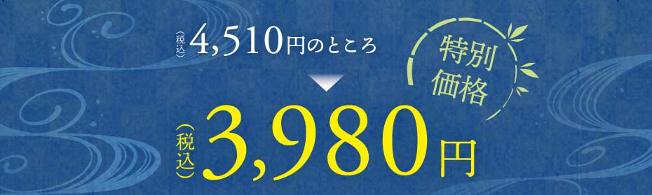 調湿竹炭パック竹の日特価