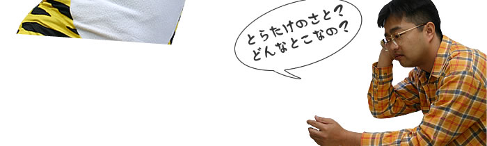 虎竹の里へ行かんかえ?
