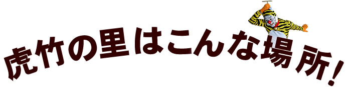 虎竹の里はこんな場所!