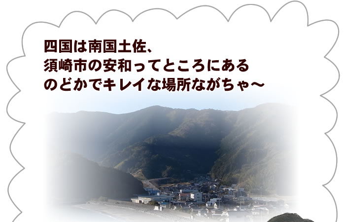 須崎市の安和ってところののどかできれいな場所
