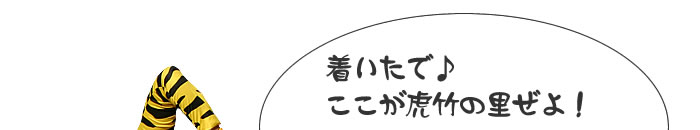 ここが虎竹の里