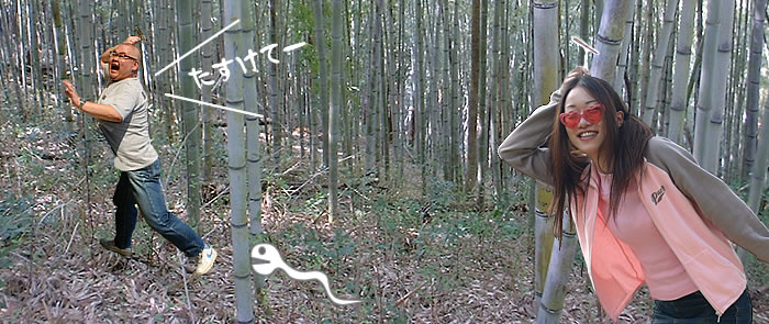 日本唯一の虎竹ながよ!