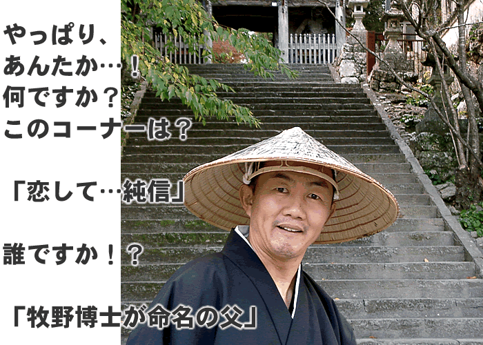 やっぱり、あんたか