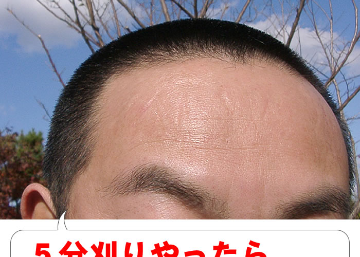 三分刈り