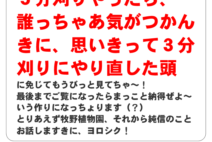 三分刈りにやり直した頭