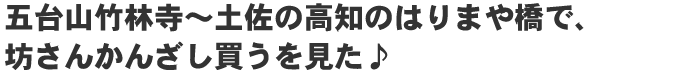 五台山竹林寺