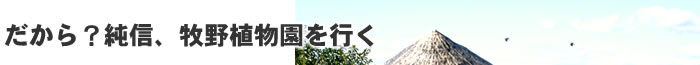 だから?純信、牧野植物園を行く