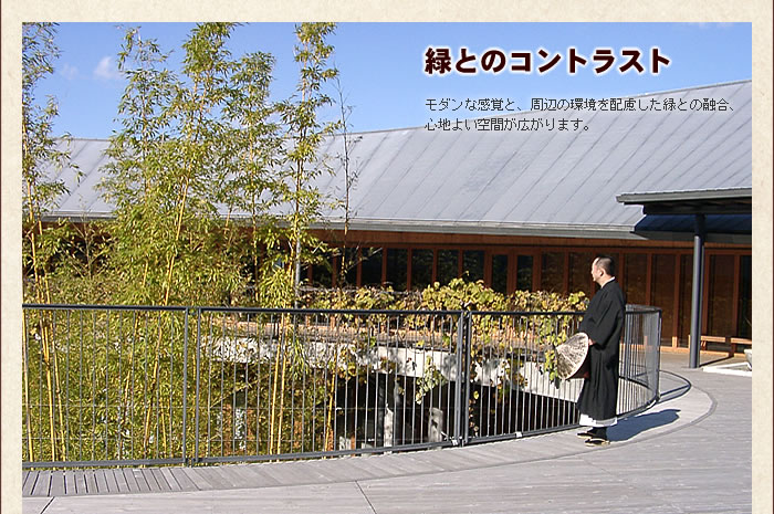 緑とのコントラスト
