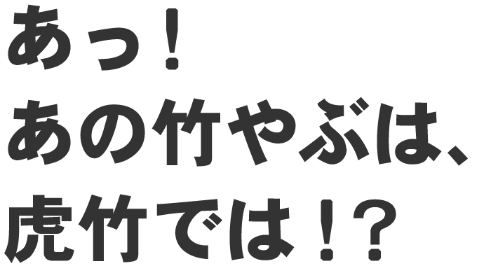 あの竹やぶは虎竹では!?