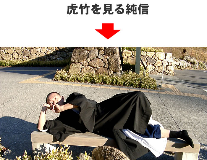 純信