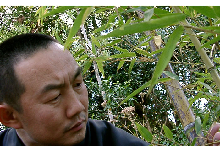純信