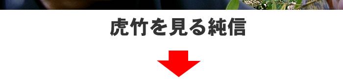 虎竹を見る純信