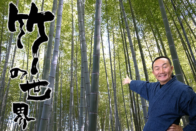 竹の世界