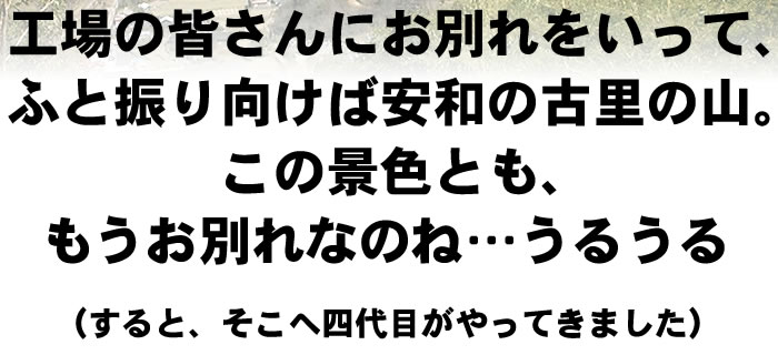 ふと振り向けば安和の古里の山。