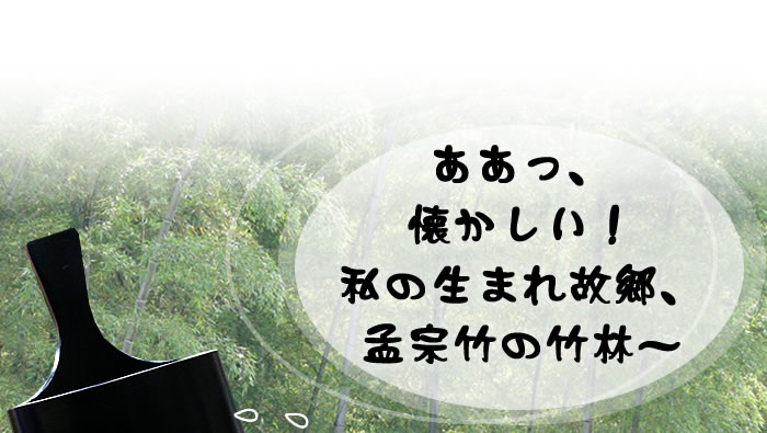 ああっ、懐かしい!私の生まれ故郷、孟宗竹の竹林~