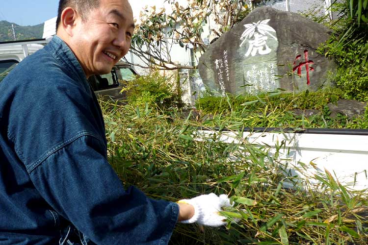 虎竹染めハンカチに使われる竹葉選び