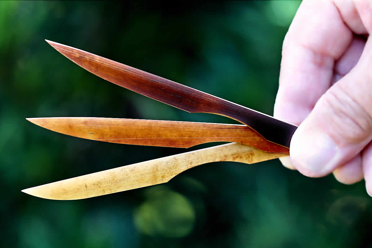 煤竹菓子楊枝