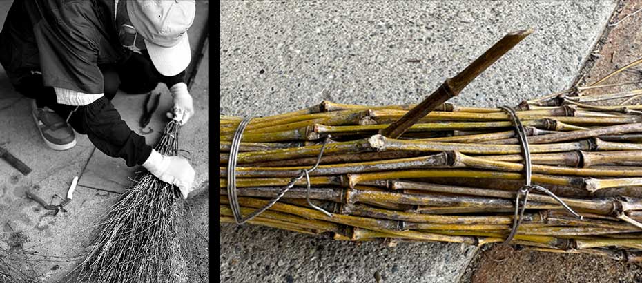 山里の名人作の竹箒に残された一本の五三竹の竹枝に巻き付けられた孟宗竹の竹枝
