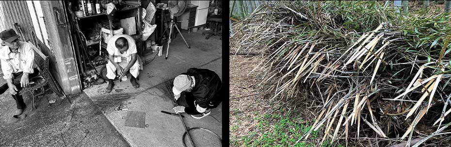 山里の名人作の竹箒に使われている孟宗竹の竹枝