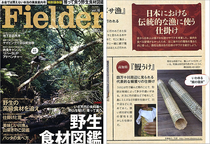 Fidelder vol.18