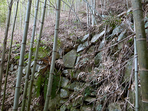 山道の石積み