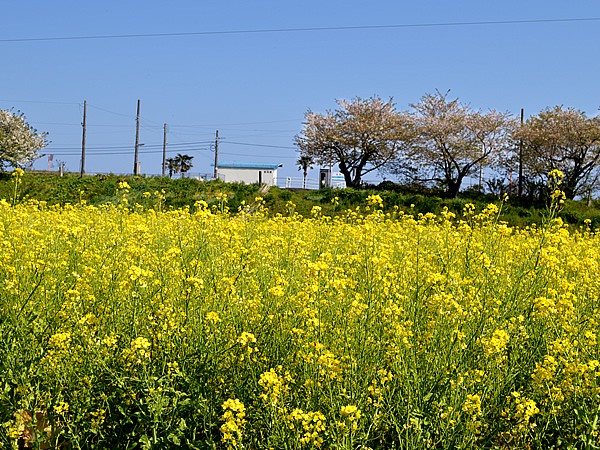 安和駅