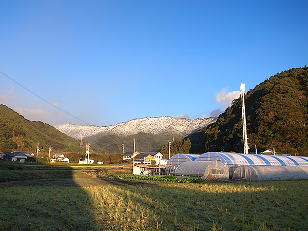 虎竹の山