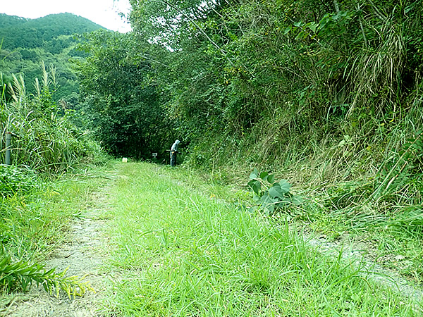 山道,虎竹の里,高知県須崎市安和