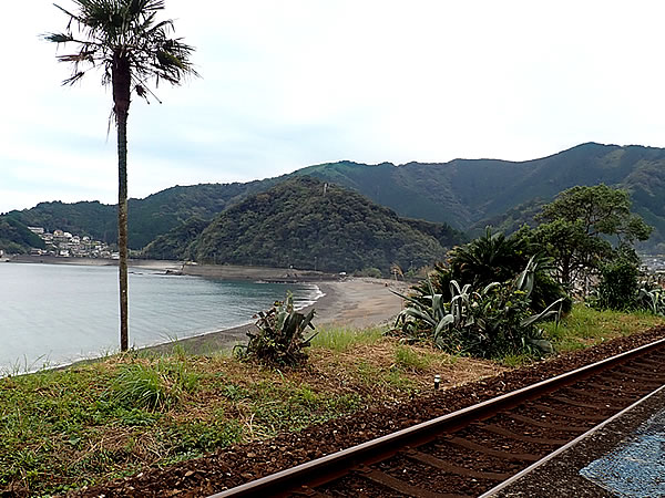 山道,虎竹の里,高知県須崎市安和