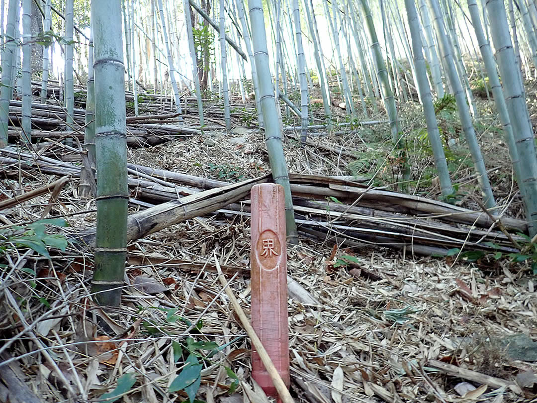 山境の杭