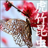 Bamboo charcoal Water Filter