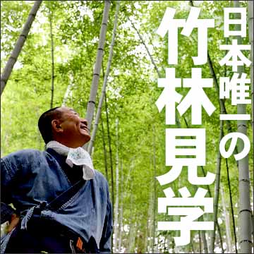 日本唯一の虎竹の里の竹林見学