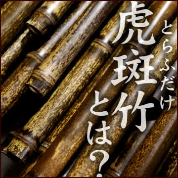 虎斑竹とは(Tiger Bamboo)