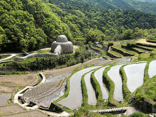 小豆島の光