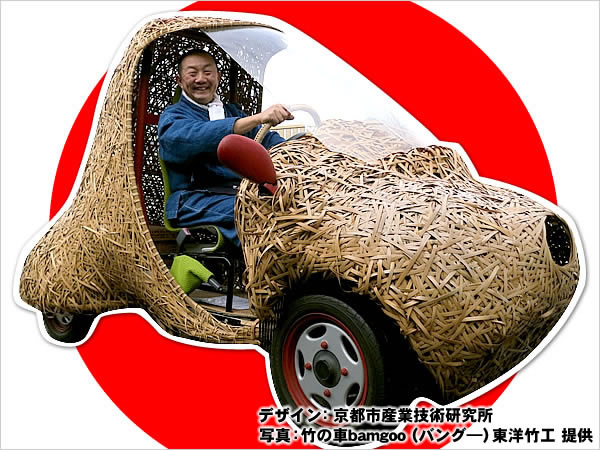 日本唯一の虎竹自動車プロジェクト