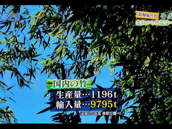 テレビ高知「イブニングKOCHI　高知家の力」で放映！